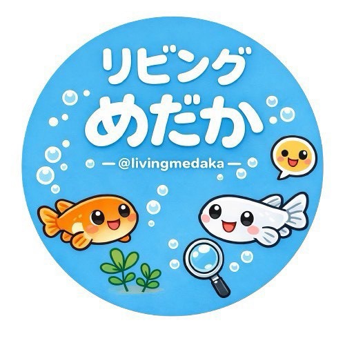 リビングめだか