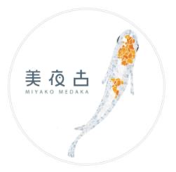 美夜古めだか