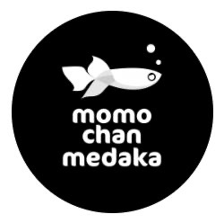 桃ちゃんめだか