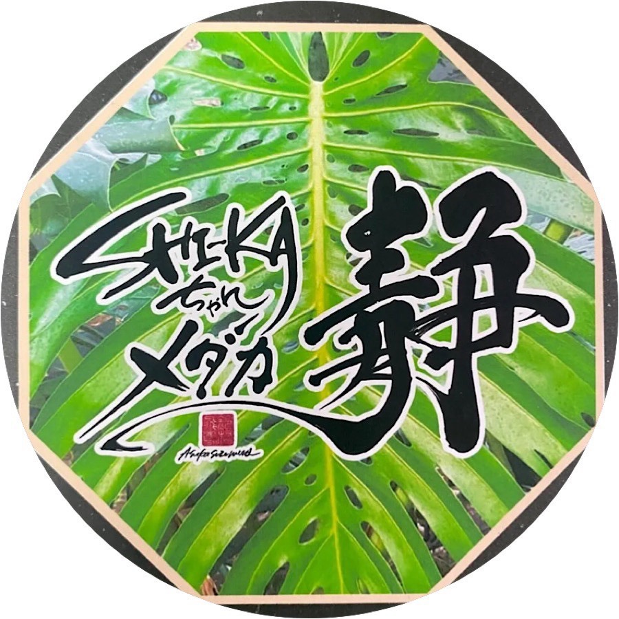 静めだか